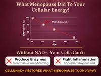 From 3 AM Wake-Ups to Pain-Free Days