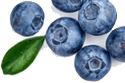 CoQ10