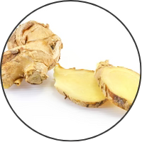 Ginger Root