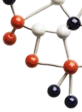 Nicotinamide Riboside