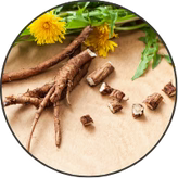 Dandelion Root