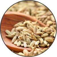 Fennel Seed