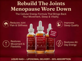 From 3 AM Wake-Ups to Pain-Free Days